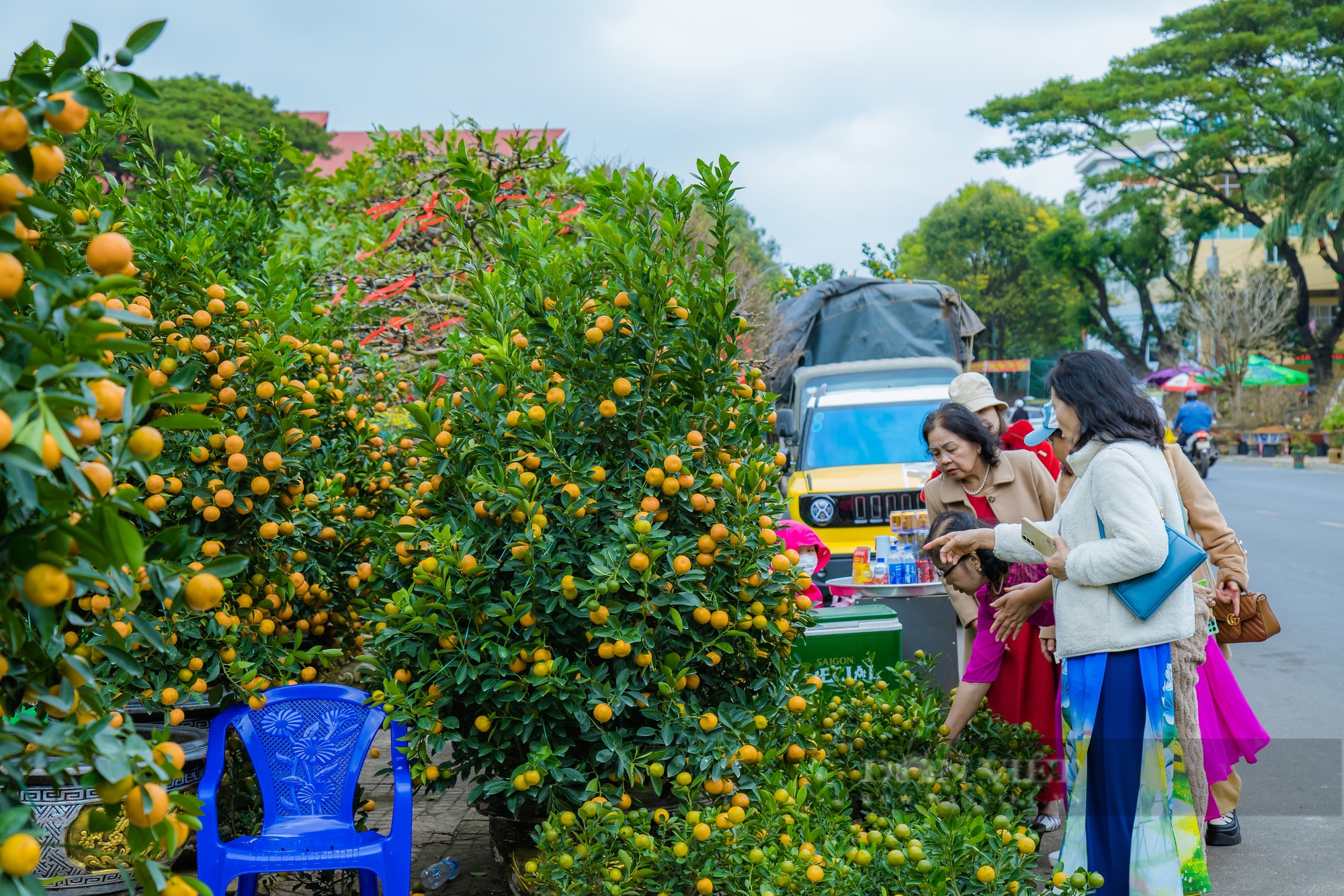 Khung cảnh Chợ hoa Xuân Ất Tỵ  Buôn Ma Thuột - Ảnh 4.